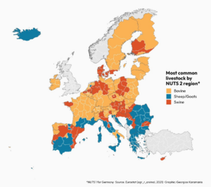 Read more about the article Nutztiere in Europa – Schafe und Ziegen eher in Island und Südeuropa. Rinder vor allen in Mitteleuropa. Schweine in Nordspanien ubd un Vakjabm Oikeb und Mitteldeutschland