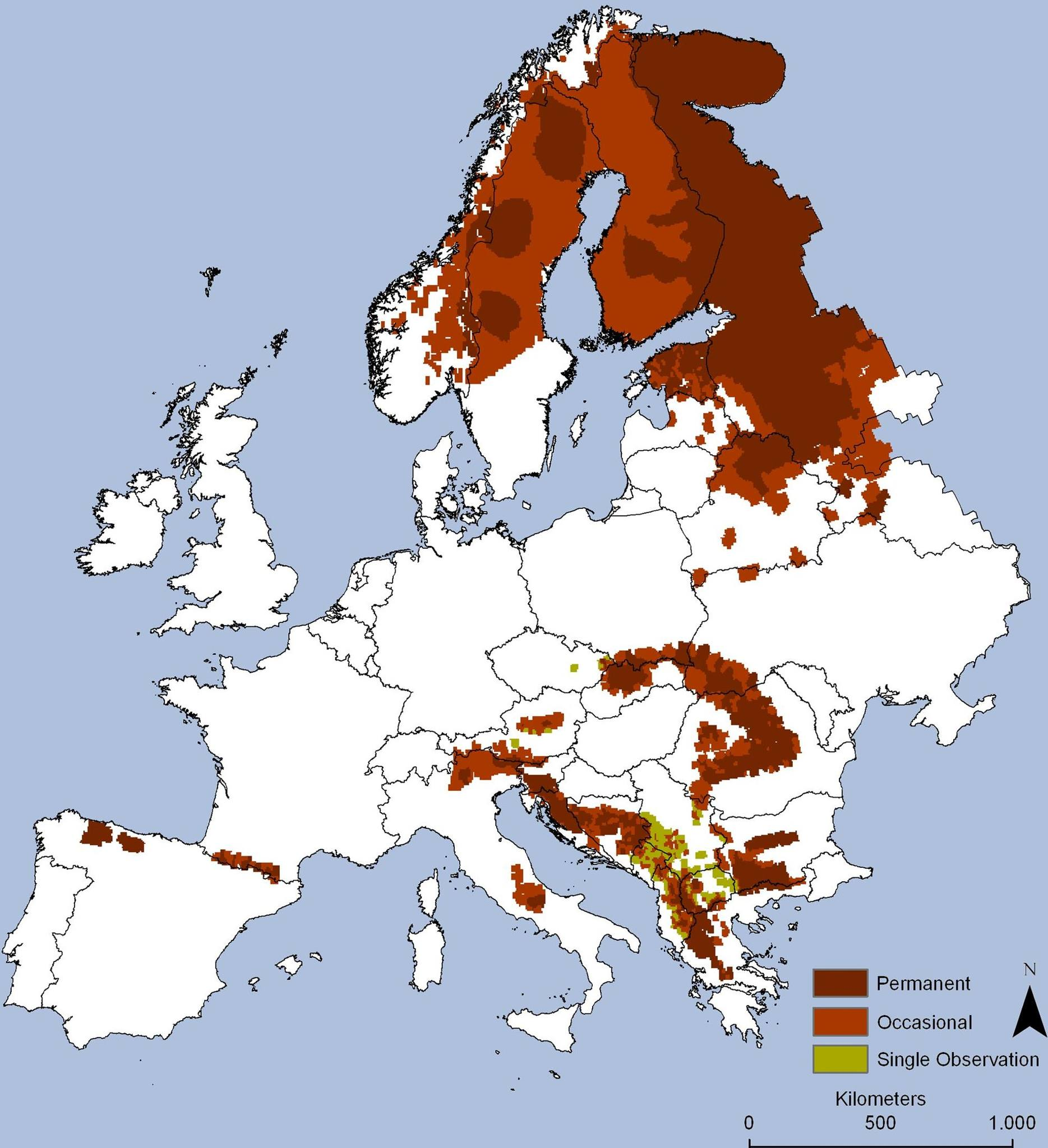 Read more about the article Europakarte zeigt wo der Braunbär in Europa spazieren geht – In Deutschland noch nicht vorhanden, in den Pyrenäen und in Teilen von Italien, wie Dolomiten, schon. In Nordosteuropa ist seine Heimat.